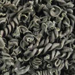 Pâtes intense en protéines de spiruline - Petit fusilli PastaPower 21 29-1295