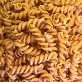 Pâtes crues BIO - Petit fusilli tomate et oignon 29-1298