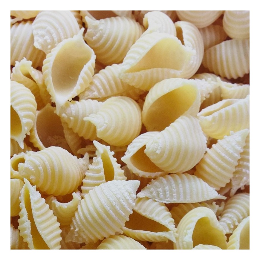 Pâtes crues - Conchiglie rigate nature 29-1300