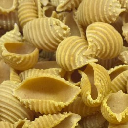 Pâtes crues - Conchiglie rigate curry de Madras 29-1302