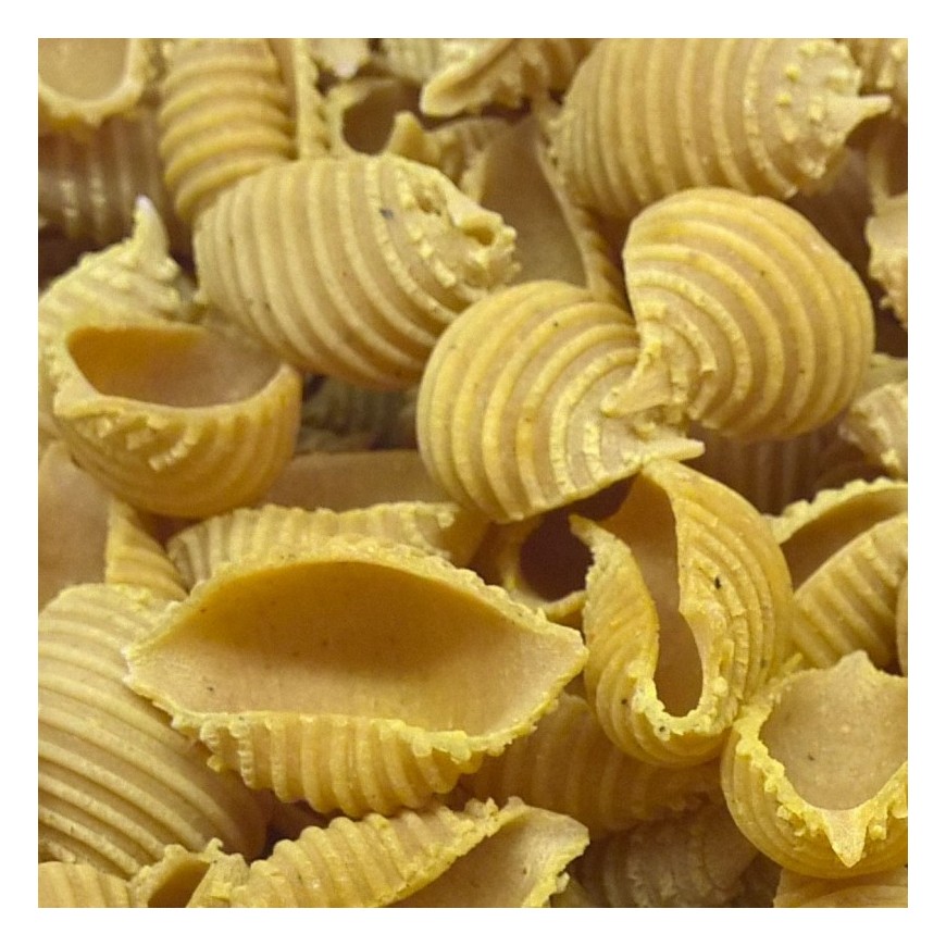 Pâtes crues - Conchiglie rigate curry de Madras 29-1302