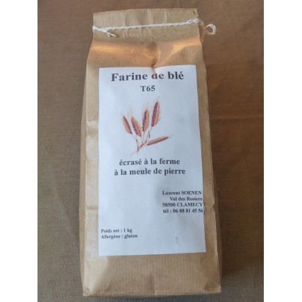 Farine de blé T65 37-820