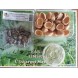 Atelier cuisine, une douzaines de chairs d'escargot - Lot de 4 et 250 g de beurre persil