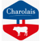 Race de la viande - Charolais